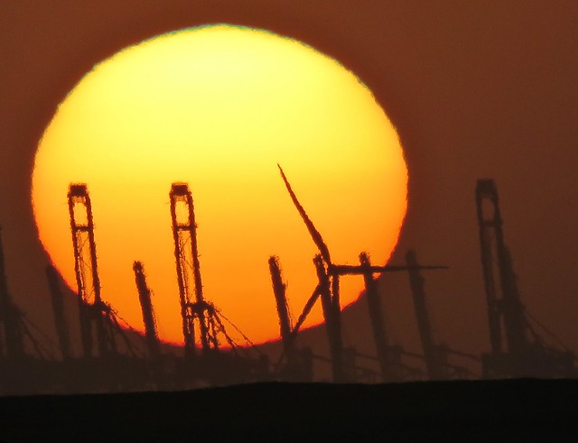 Sun with cranes (New Year's Eve)