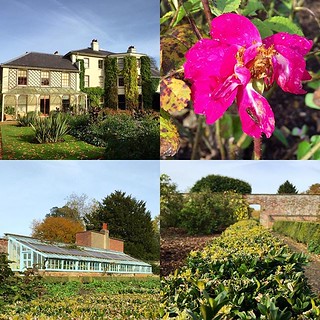 Day trip to Downe House (home...