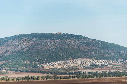landscape israel shibli northdistrict