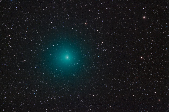 Comet 252P/LINEAR closeup in Ophiucus
