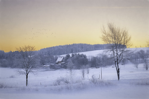 schnee trees winter sky sun snow painterly mountains home nature rural sunrise germany landscape outdoors deutschland countryside frozen weide woods scenery europa europe solitude meadow wiese himmel peaceful tranquility nopeople berge alemania dreamy landschaft sonne wald sonnenaufgang allemagne vignette einsamkeit tranquil harz alemanha winterwonderland stille niedersachsen ruhe gefroren zuhaus malerisch clausthalzellerfeld arbores winterwunderland harzmountains bã¤ume lã¤ndlich nationalparkharzharznationalpark ruralpoetry topazimpressionist