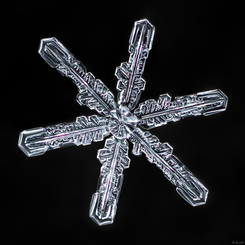 snowflake winter sky snow macro ice nature water star frozen crystal flake physics fractal mpe focusstacking