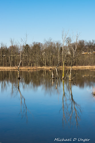 trees water reflections landscape unitedstates pentax michigan bigma k3 middleville lenstagger sigma50500f4563oshsm