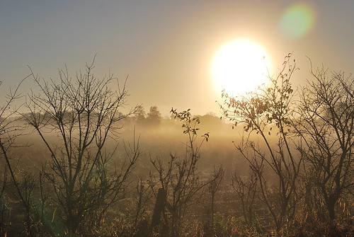 misty_024 by Sascha G Photography, morning november ireland mist nature fog sunrise landscape nikon scenery athlone d60