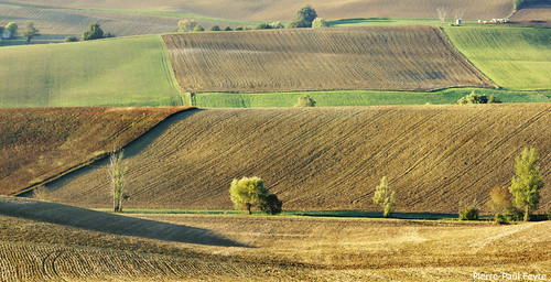 Paysage d'octobre by Pierre-Paul Feyte, Du coté du Mas d'Auvignon (Gers), le 19 octobre 2007.