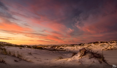 sunset sand dunes au australia victoria discoverybay sanddunes mountrichmond