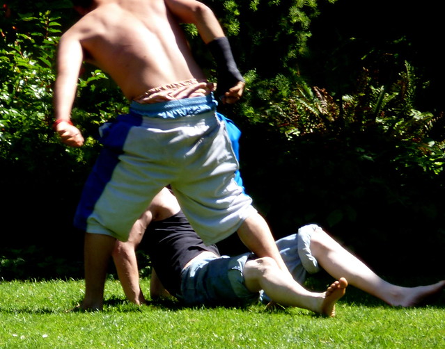 wrestling in the park