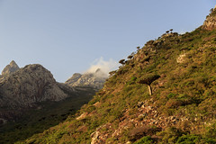Haggiers Mountains, Socotra, Yemen