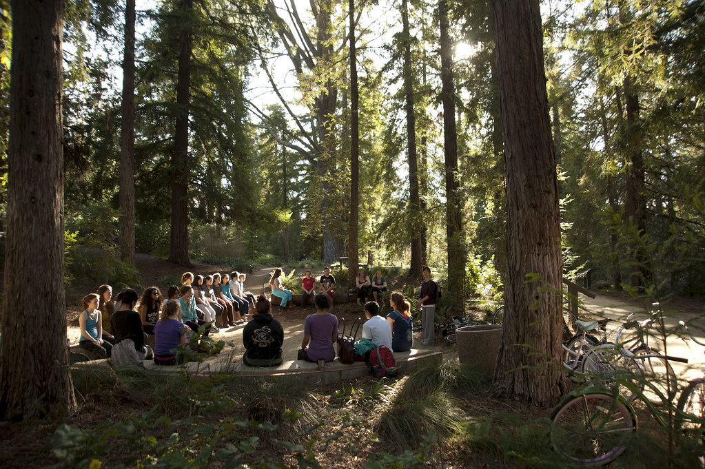 Class in Redwood Grove