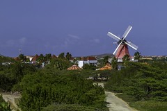 Dutch Windmill - Aruba