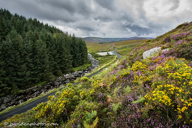 The Old Military Road ascends onto the Wicklow uplands through the Glenmacnass valley