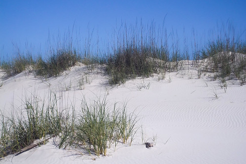 beach unitedstates dunes alabama coastal whitesand gulfshores gulfcoast baldwincounty fortmorgan ilobsterit