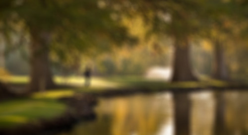 girl-walking-by-ponds-autumn-blur
