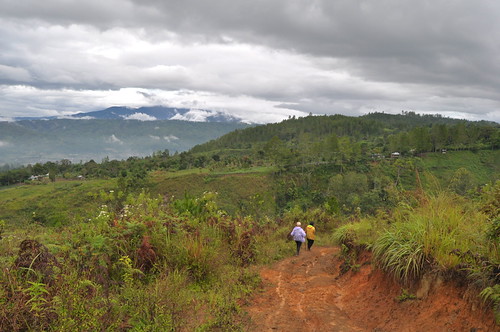 DSC_0301 by Pasha Kirillov, sumatra indonesia kedah geo:country=indonesia