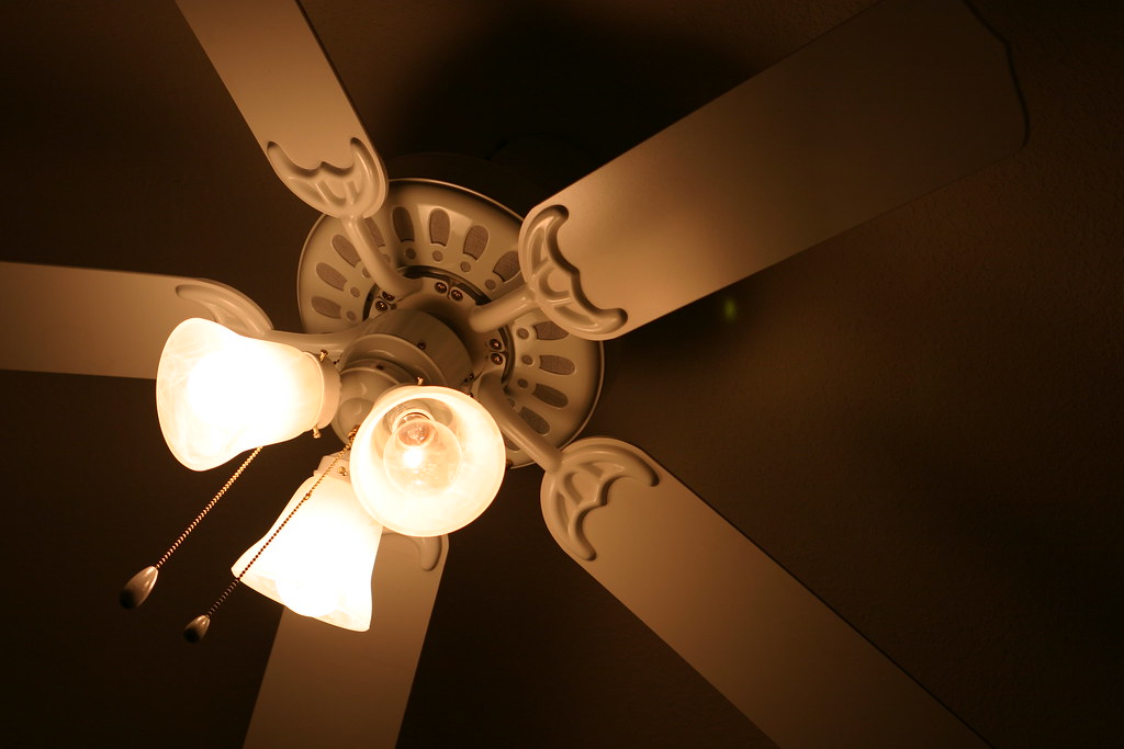 Flickr Fan Susan's fan | Charles Williams | Flickr