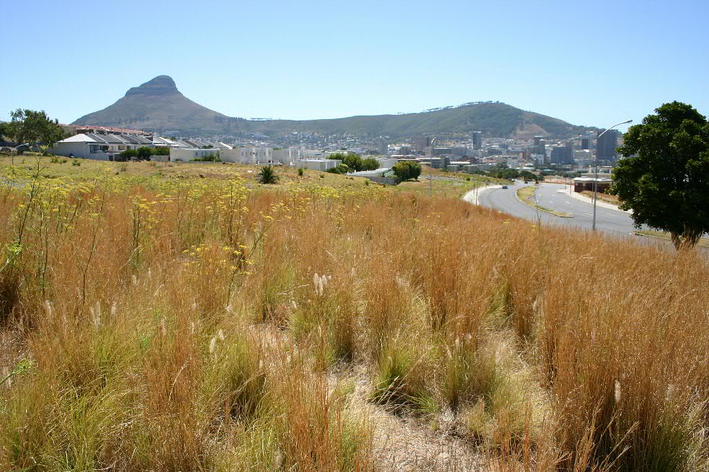 District Six, Cape Town, South Africa