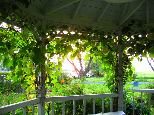 sunset summer bench restaurant inn 2006 gazebo été spa banc pavillon auberge coucherdusoleil privategarden jardinprivé mimosamichemichelle michellebéchardlalonde ✿img2784mf ⌘⌘montérégie ⌘saintmarcsurrichelieu ⌘⌘rivesudsouthshore ⌘⌘⌘⌘canada ⌘⌘⌘québec