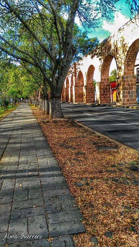 New photo added to gallery | by bmendozalizarde