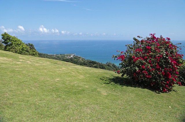 Caribbean View ~ Noel Coward's Firefly Estate