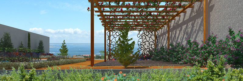 Minimalist Garden. back perspective view