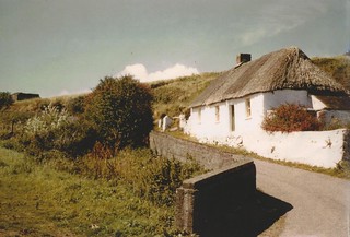 The Cottage by the Sea