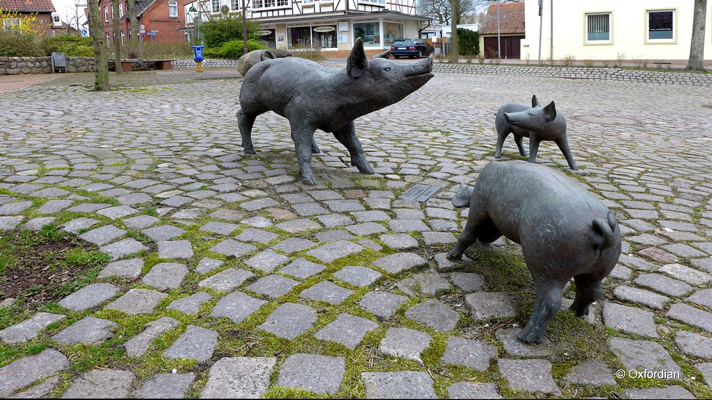 Ebstorf - fröhliche Schweine