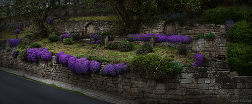 road flowers panorama stone garden spring mystic blaukissen