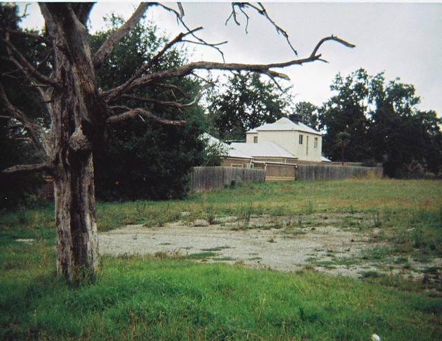 A vacant lot with a dead tree