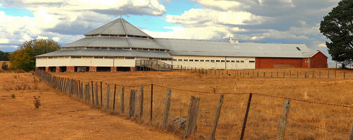 uralla newengland newsouthwales gostwyck woolshed deeargee architecture rural shed farming wow