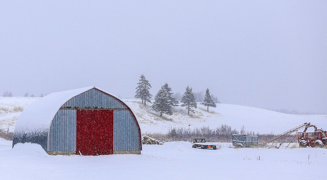 Snow storm on the barn