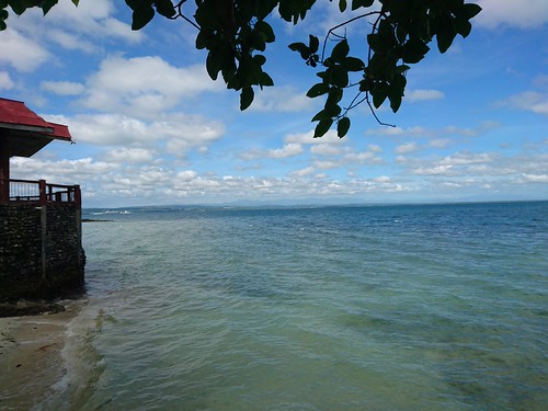 DSC_0198 by aruprc, 