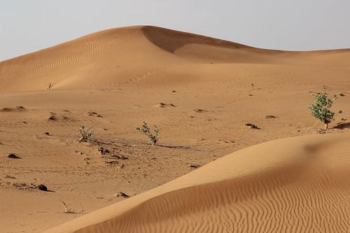 landscape desert natural uae arabia environment rak unitedarabemirates rasalkhaimah