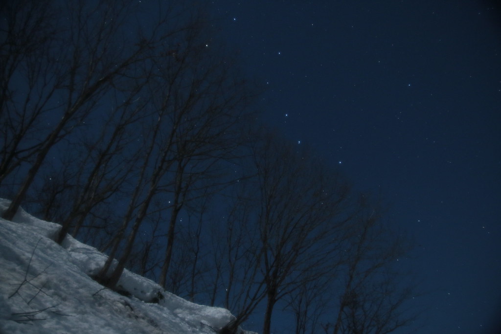北斗七星 冬の林を見下ろす北斗七星 Kaoru Nagasawa Flickr