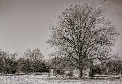 building tree art field sepia painting landscape outdoors photography artistic shed scenic serene toned textured ef24105mmf4lisusm canon6d