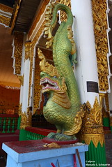 Dragon-guardian - Loikaw