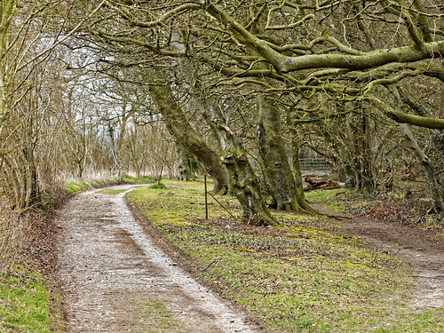 Beacon Hill Path | by martin_swatton