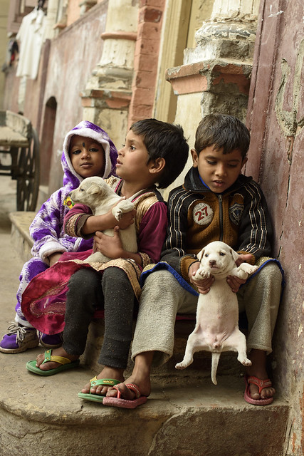 Some children with some puppies Varanasi Uttar Pradesh India