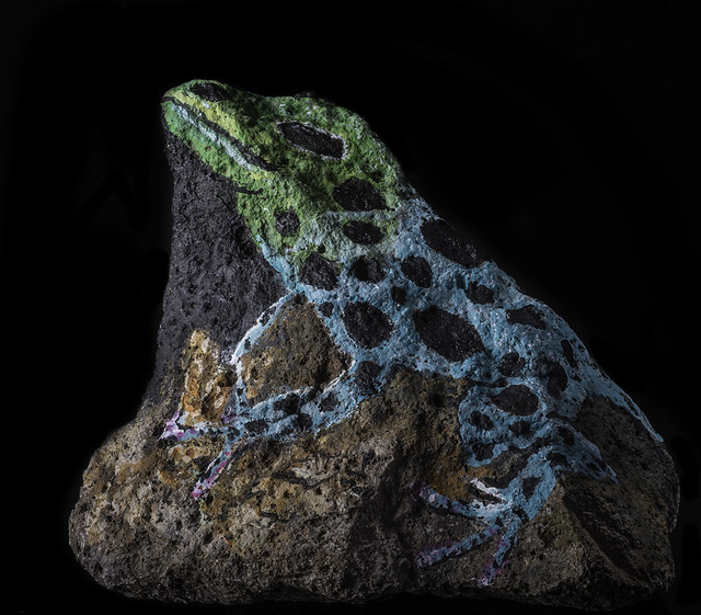 Blue Poison Dart Frog On The Rocks