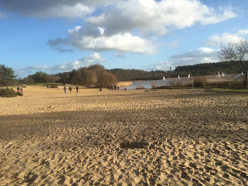 The beach at Frensham Great Pond Bentley to Farnham walk