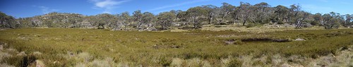 Cotter Source Bog by ~Jek~, geotagged australia aus namadgi australiancapitalterritory namadginationalpark nikonaw1 cottersource