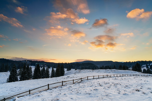 road trees winter sunset white snow beautiful clouds forest fence landscape cloudy romania brasov lonly apus poianabrasov peisaj silvermountin
