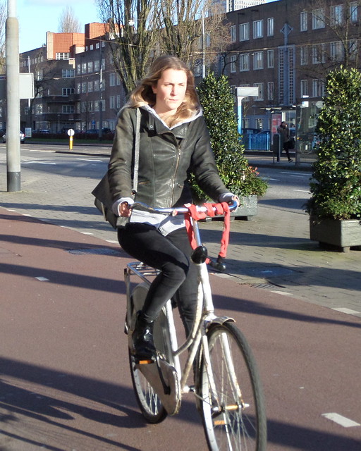 Amsterdam Rivierenbuurt Vrijheidslaan bike 2