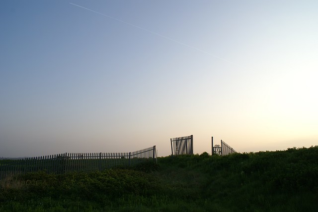 On Crayford Marshes