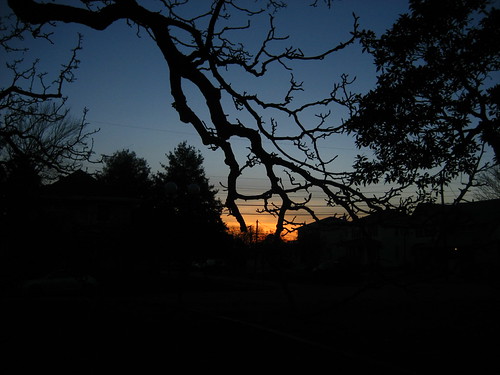 sunset by resnow777, sunset tree cucumber colonial violet bank heights