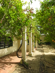 Stellenbosch museum garden