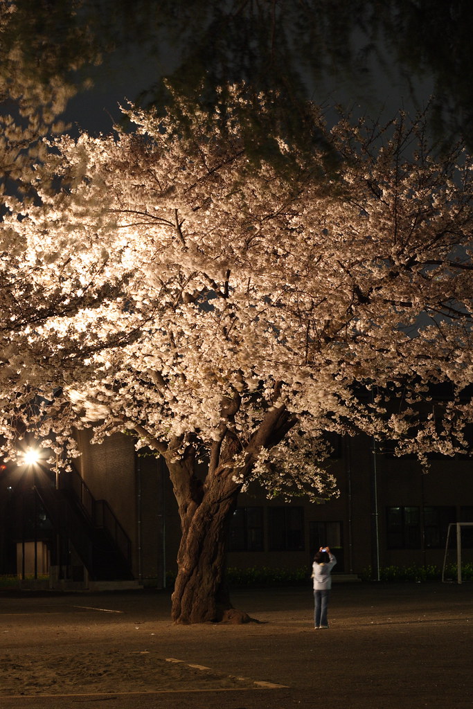 beautiful at night