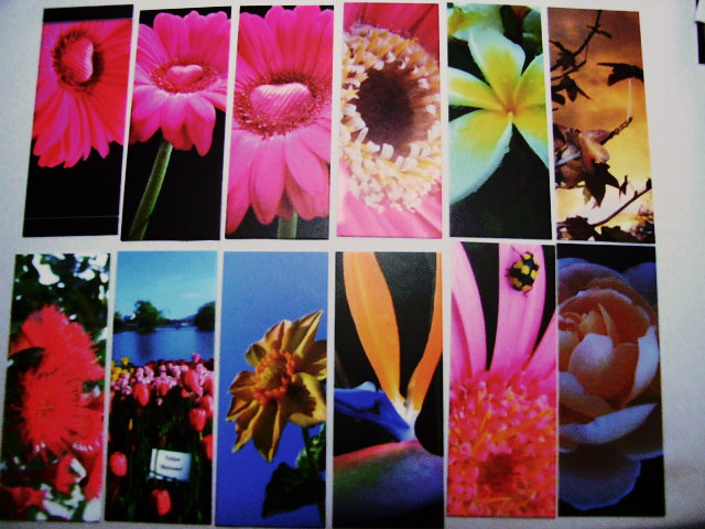 Moo cards available for trade