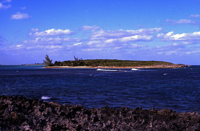 Bahamas 1989 (350) Eleuthera:  Harbour Island, Jakob's Island