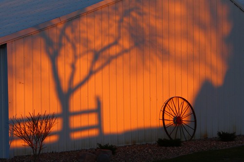 Shadows by pics by ben, sunset shadow mallams