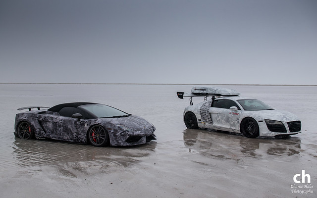 Audi R8 and Lamborghini Gallardo Performante